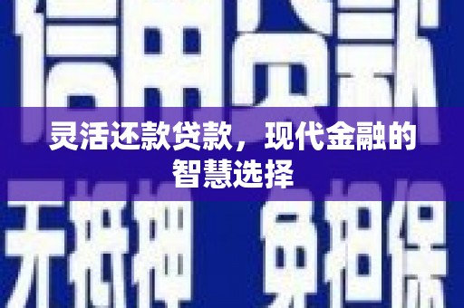 阜南灵活还款贷款，现代金融的智慧选择