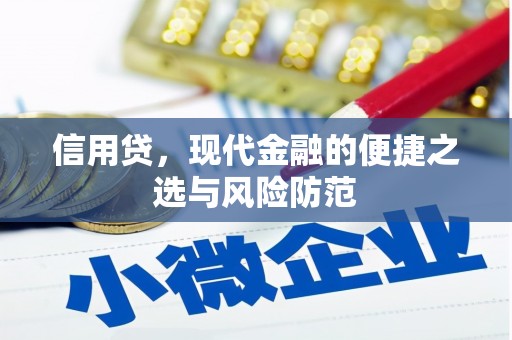 阜南信用贷，现代金融的便捷之选与风险防范