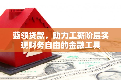 阜南蓝领贷款，助力工薪阶层实现财务自由的金融工具
