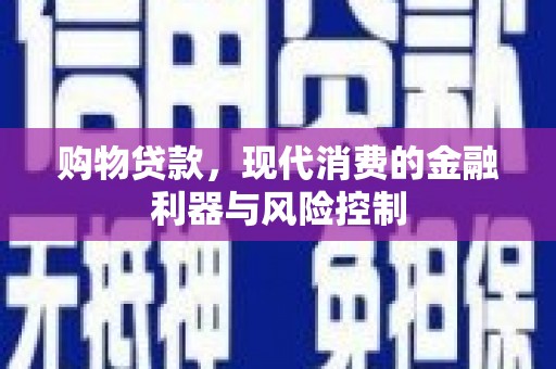 阜南购物贷款，现代消费的金融利器与风险控制