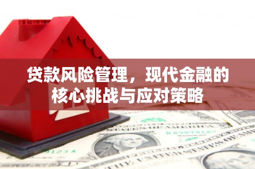 阜南贷款风险管理，现代金融的核心挑战与应对策略