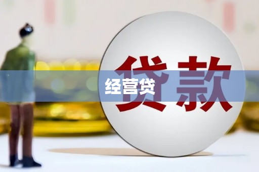 阜南经营贷