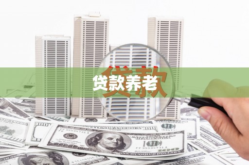 阜南贷款养老