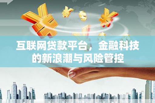 阜南互联网贷款平台，金融科技的新浪潮与风险管控