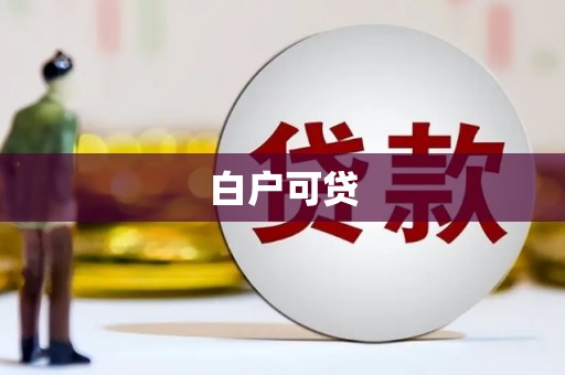 阜南白户可贷