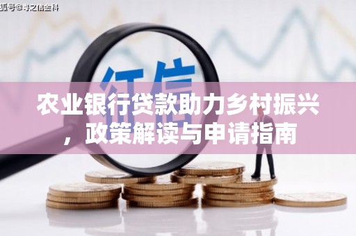阜南农业银行贷款助力乡村振兴，政策解读与申请指南