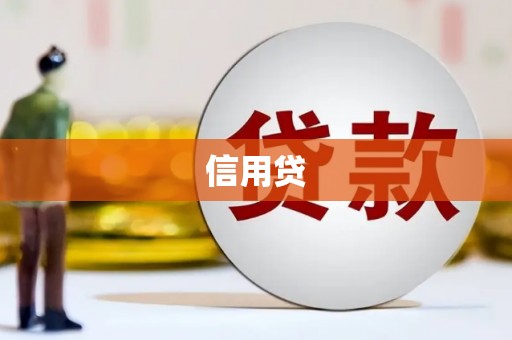 阜南信用贷