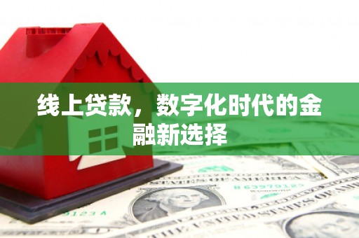 阜南线上贷款，数字化时代的金融新选择