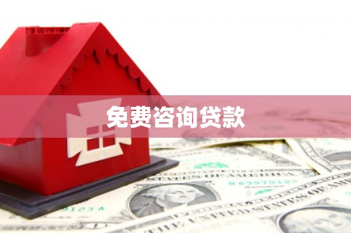 阜南免费咨询贷款