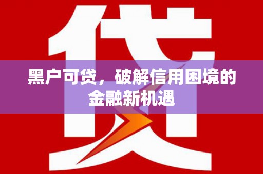阜南黑户可贷，破解信用困境的金融新机遇