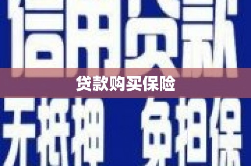 阜南贷款购买保险