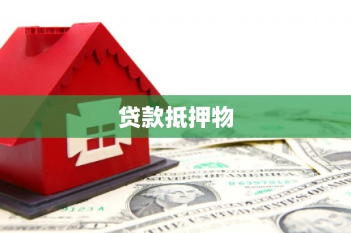 阜南贷款抵押物