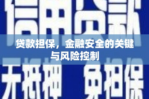 阜南贷款担保，金融安全的关键与风险控制