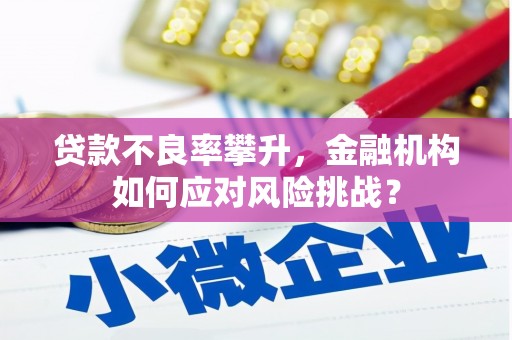 阜南贷款不良率攀升，金融机构如何应对风险挑战？