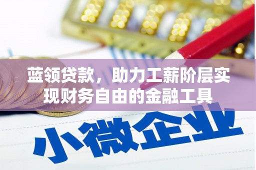 阜南蓝领贷款，助力工薪阶层实现财务自由的金融工具