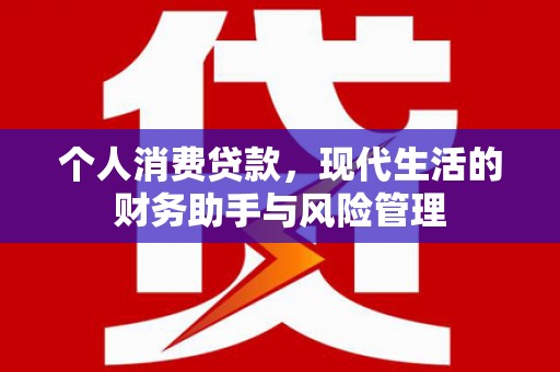 阜南个人消费贷款，现代生活的财务助手与风险管理