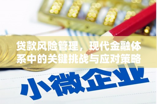 阜南贷款风险管理，现代金融体系中的关键挑战与应对策略