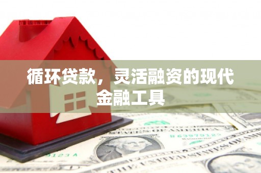 阜南循环贷款，灵活融资的现代金融工具