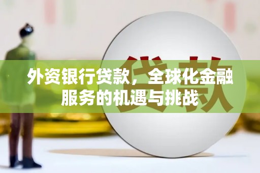 阜南外资银行贷款，全球化金融服务的机遇与挑战