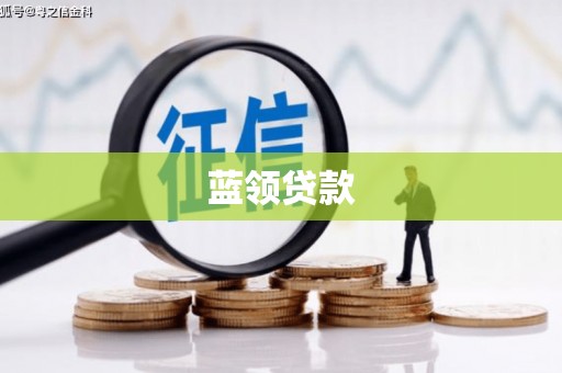 阜南蓝领贷款