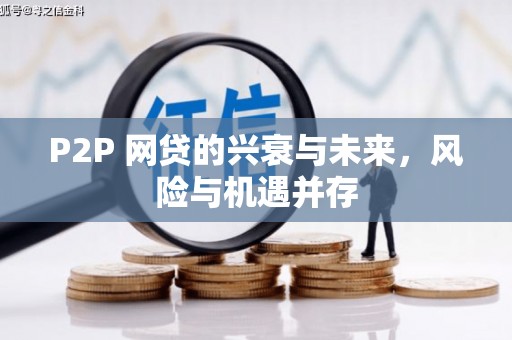 阜南P2P 网贷的兴衰与未来，风险与机遇并存