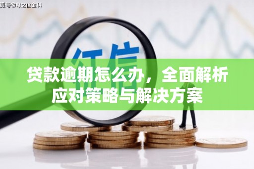 阜南贷款逾期怎么办，全面解析应对策略与解决方案