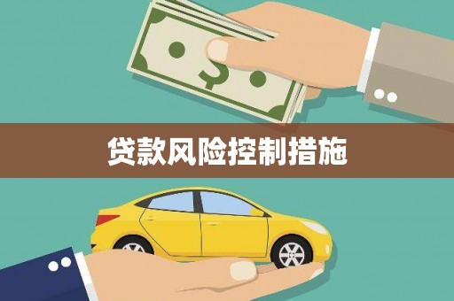 阜南贷款风险控制措施