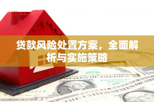 阜南贷款风险处置方案，全面解析与实施策略